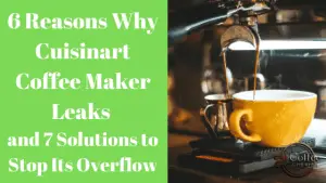 Why Does My Cuisinart Coffee Maker Leak? - 6 Reasons and 7 Solutions to