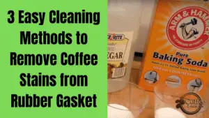How to Remove Coffee Stains from Rubber Gasket - 3 Easy Cleaning ...
