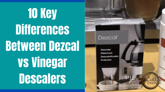 Dezcal vs Vinegar