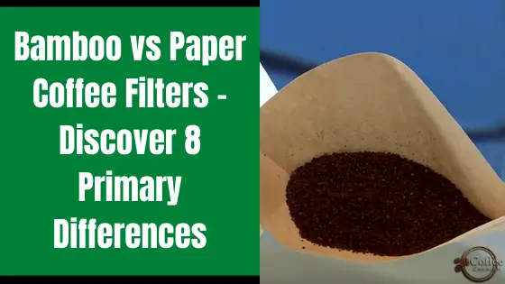 bamboo vs paper coffee filter