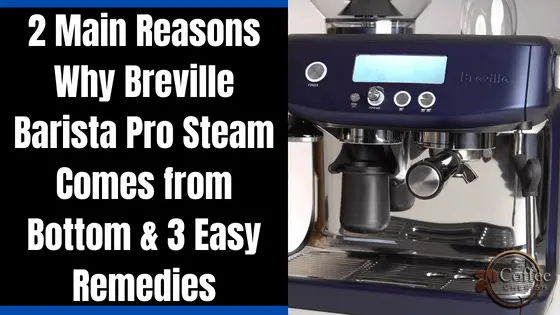 breville barista pro steam comes from bottom