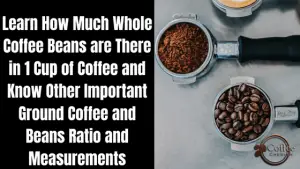 How Much Whole Coffee Beans Per Cup? - Find Exact Coffee Ratio for