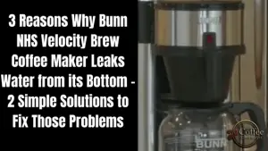 Bunn NHS Velocity Brew Leaking from its Bottom - 3 Main Reasons and 2